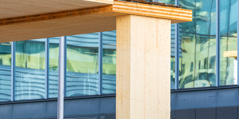 Mass Timber RJC Projects