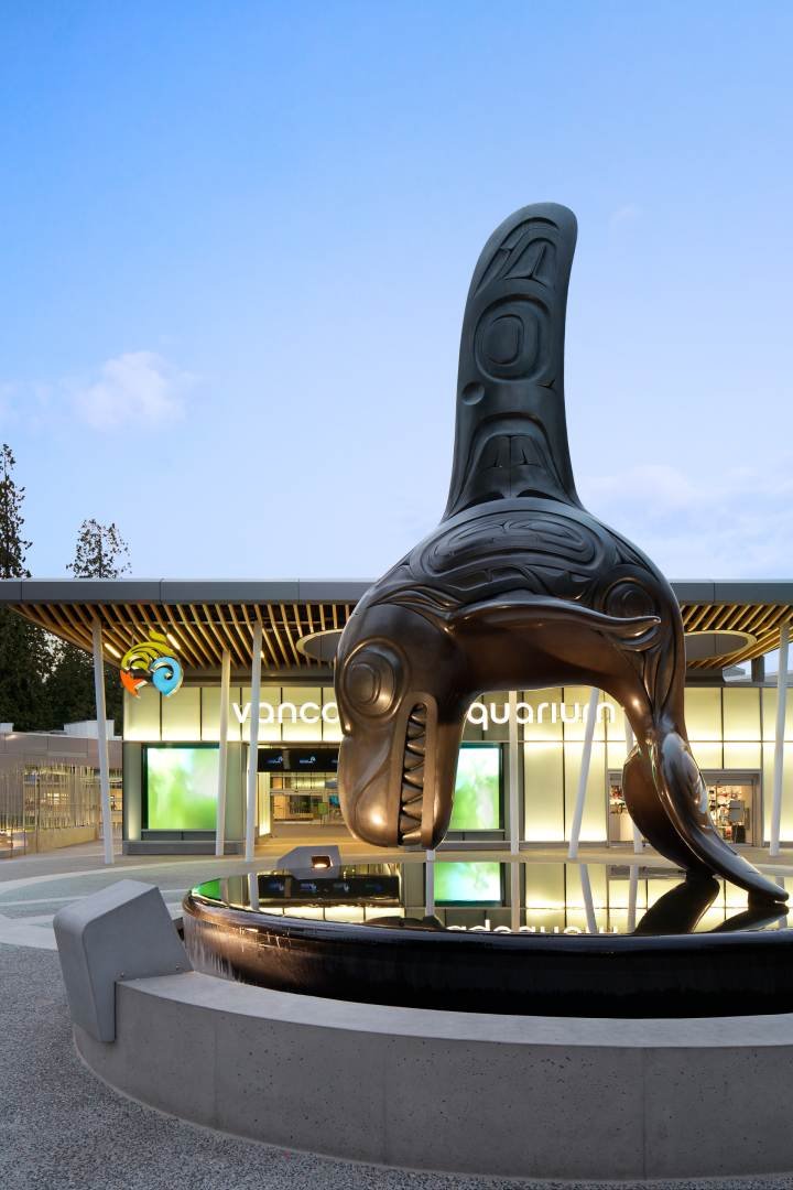 Vancouver Aquarium Revitalization